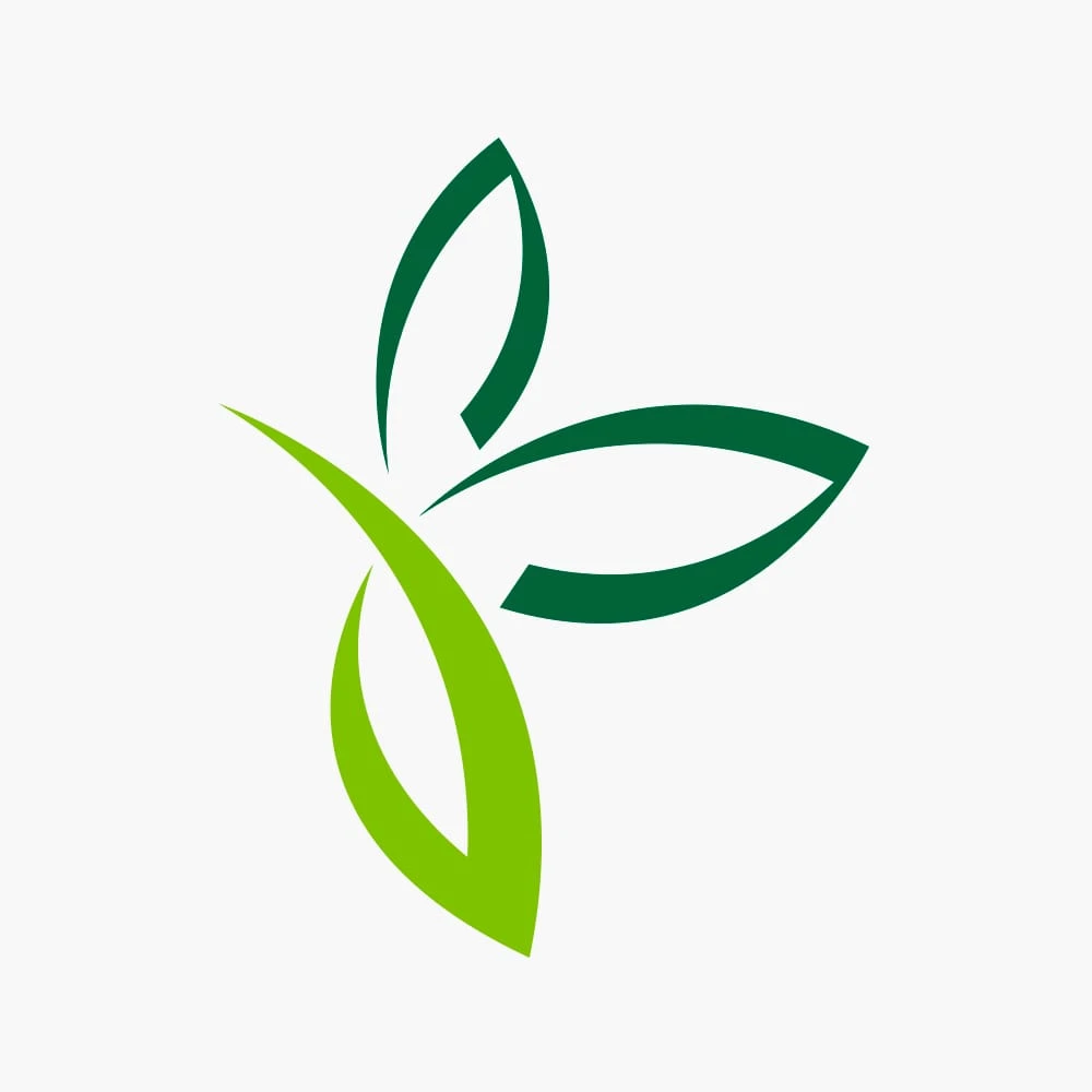 Asplenium Parvati - Moedervaren - In Hangpot - P17 H30 - Kamerplant 4 Asplenium Parvati - Moedervaren - In Hangpot - P17 H30 - Kamerplant - Afbeelding 2