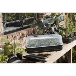 Elho Green Basics Kweekhuis L - Transparant -Pokon Winkel elho green basics kweekhuis l transparant 4