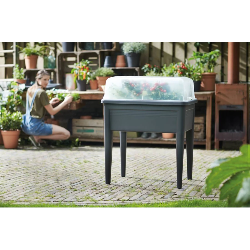 Elho Green Basics Kweekhuis XXL 75cm - Transparant 7 Elho Green Basics Kweekhuis XXL 75cm - Transparant - Afbeelding 5