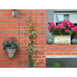 Nature - Metalen Klimrek Geplastificeerd Grijs H145x72,5cm -Pokon Winkel nature metalen klimrek geplastificeerd grijs h145x72 5cm 3 2