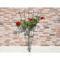 Nature - Metalen Klimrekv Geplastificeerd Groen H145x5/75cm -Pokon Winkel nature metalen klimrekv geplastificeerd groen h145x5 75cm 3 2