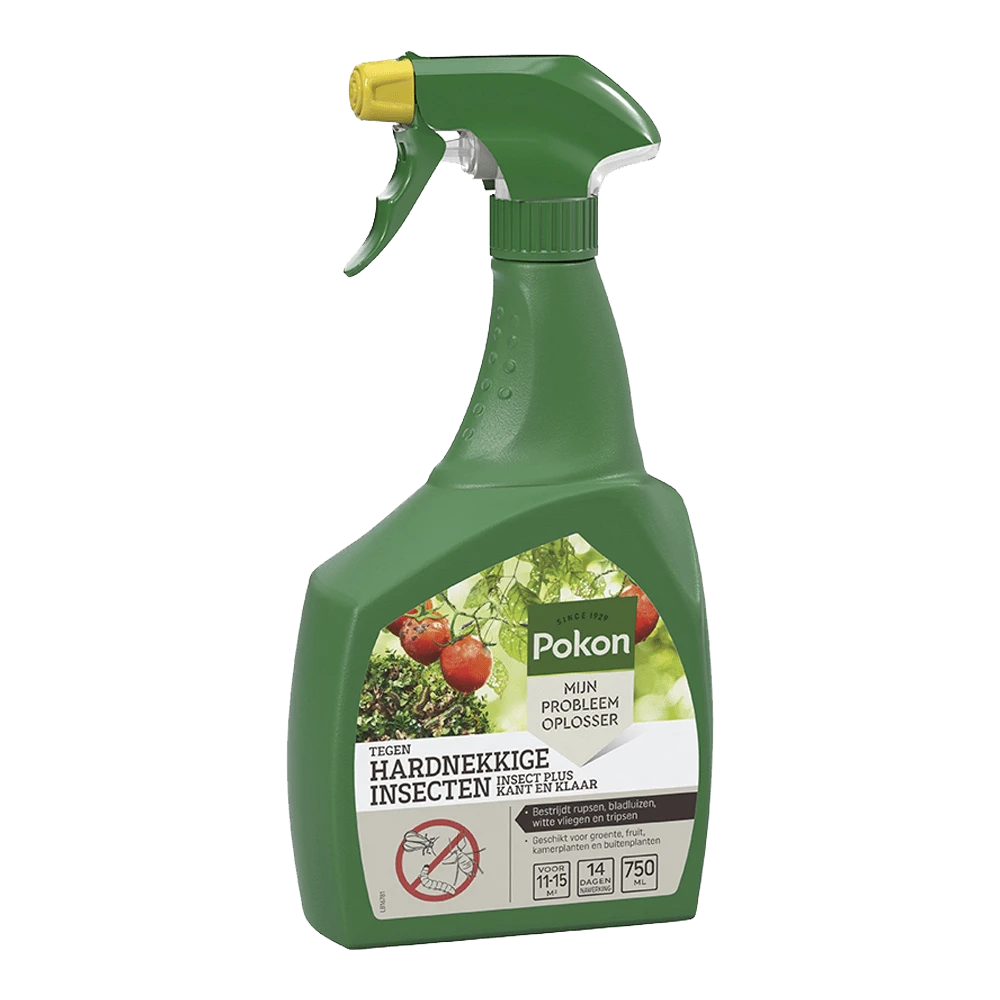 Pokon Tegen Hardnekkige Insecten Insect-Plus Kant En Klaar Spray 750ml - Insecten En Ongedierte