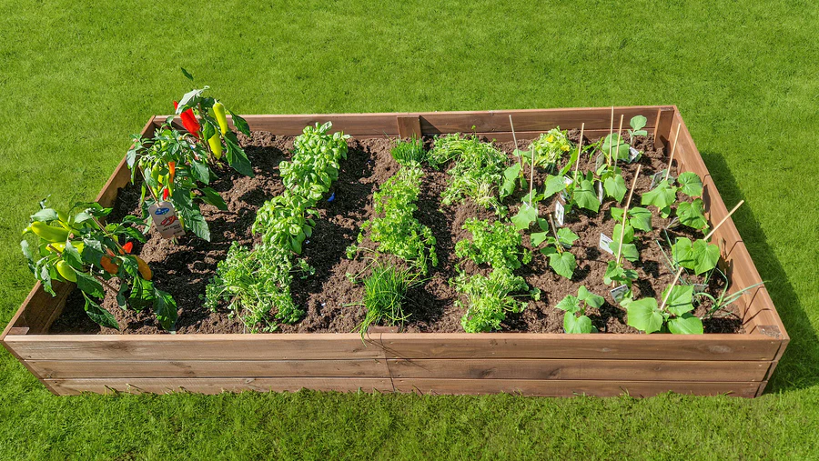 Pokon Winkel -Pokon Winkel 20240512 155535copy a7c59dfb d993 465e 9a67 d8f56c2f3519